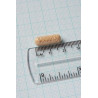 Complejo de Lactasa 200mg