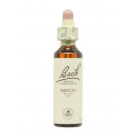 Flores de Bach Original Beech (Haya) 20 ml. N.03