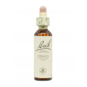 Flores de Bach Original Ceratostigma (Cerato) 20 ml. N.05