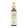 Flores de Bach Original Cerasífera (Cherry Plum) 20 ml. N.06