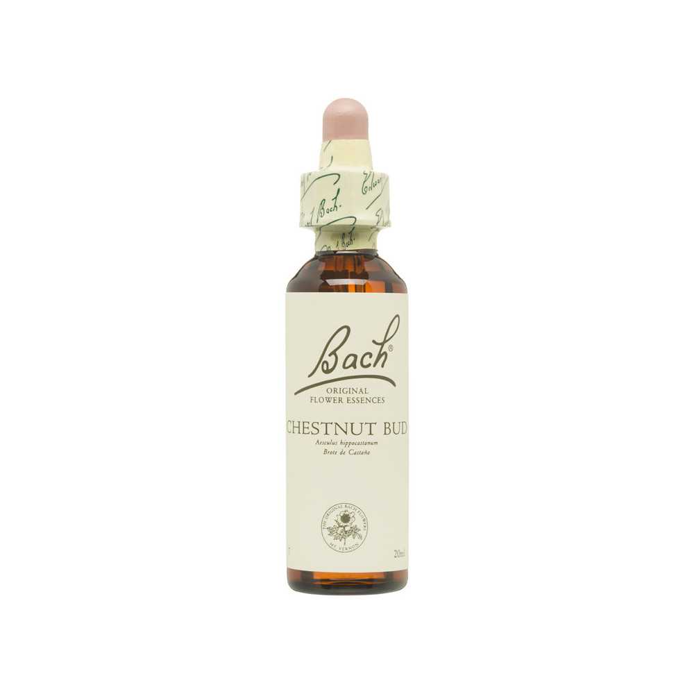 Flores de Bach Original Brote de Castaño (Chestnut Bud) 20 ml. N.07 Flores de Bach Original Brote de Castaño (Chestnut Bud) 20 ml. N.07