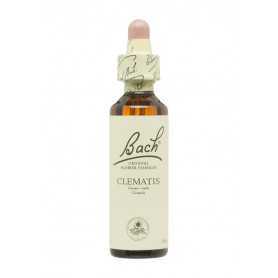 Flores de Bach Original Clemátide (Clematis) 20 ml. N.09