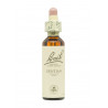 Flores de Bach Genciana (Gentian) 20 ml. N.12