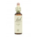 Flores de Bach Aulaga (Gorse) 20 ml. N.13