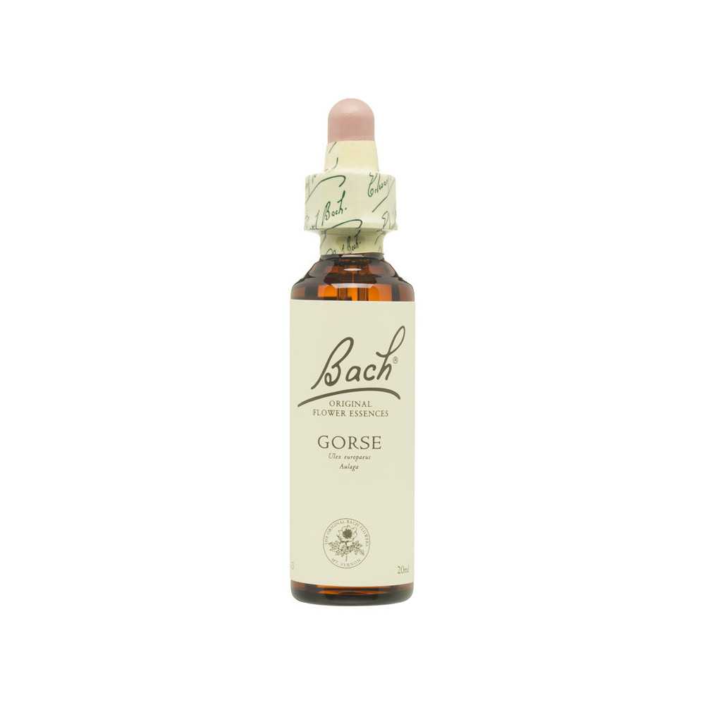 Flores de Bach Aulaga (Gorse) 20 ml. N.13 Flores de Bach Aulaga (Gorse) 20 ml. N.13