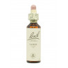 Flores de Bach Aulaga (Gorse) 20 ml. N.13