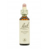 Flores de Bach Brezo (Heather) 20 ml. N.14