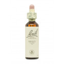 Flores de Bach Acebo (Holly) 20 ml. N.15