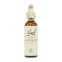 Flores de Bach Madreselva (Honeysuckle) 20 ml. N.16