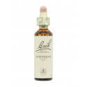 Flores de Bach Hojarazo (Hornbeam) 20 ml. N.17