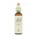 Flores de Bach Alerce (Larch) 20 ml. N.19
