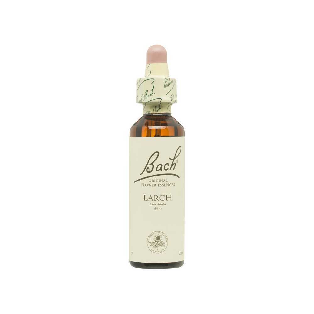 Flores de Bach Alerce (Larch) 20 ml. N.19 Flores de Bach Alerce (Larch) 20 ml. N.19