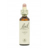 Flores de Bach Alerce (Larch) 20 ml. N.19