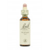 Flores de Bach Mostaza (Mustard) 20 ml. N.21