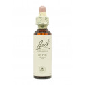 Flores de Bach Olivo (Olive) 20 ml. N.23