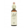 Flores de Bach Olivo (Olive) 20 ml. N.23