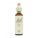 Flores de Bach Pino Silvestre (Pine) 20 ml. N.24