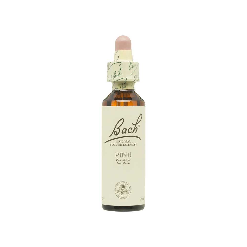 Flores de Bach Pino Silvestre (Pine) 20 ml. N.24 Flores de Bach Pino Silvestre (Pine) 20 ml. N.24