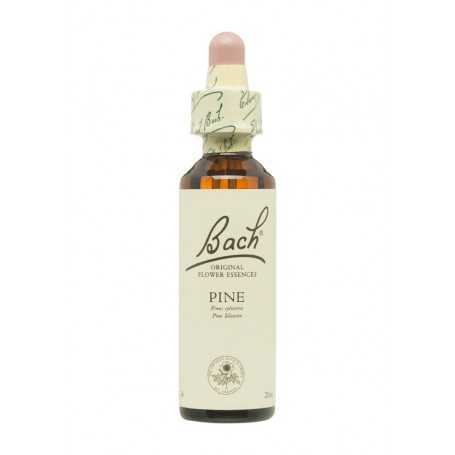 Flores de Bach Pino Silvestre (Pine) 20 ml. N.24