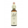 Flores de Bach Pino Silvestre (Pine) 20 ml. N.24