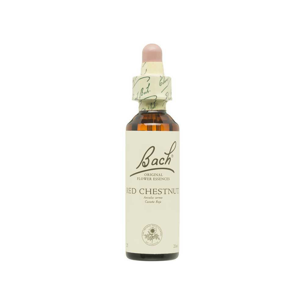 Flores de Bach Castaño Rojo (Red Chestnut) 20 ml. N.25 Flores de Bach Castaño Rojo (Red Chestnut) 20 ml. N.25