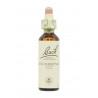 Flores de Bach Castaño Rojo (Red Chestnut) 20 ml. N.25
