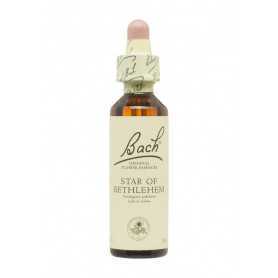 Flores de Bach Estrella Bel (Star of Bethlehem) 20 ml. N.29