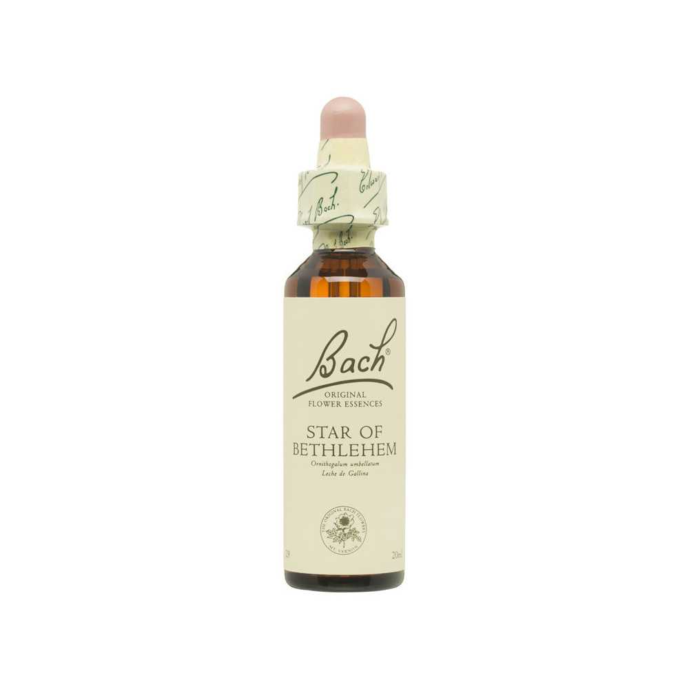 Flores de Bach Estrella Bel (Star of Bethlehem) 20 ml. N.29 Flores de Bach Estrella Bel (Star of Bethlehem) 20 ml. N.29