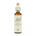 Flores de Bach Castaño Dulce (Sweet Chestnut) 20 ml. N.30