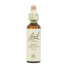 Flores de Bach Castaño Dulce (Sweet Chestnut) 20 ml. N.30