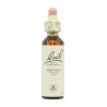 Flores de Bach Verbena (Vervain) 20 ml. N.31