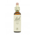 Flores de Bach Vid (Vine) 20 ml. N.32