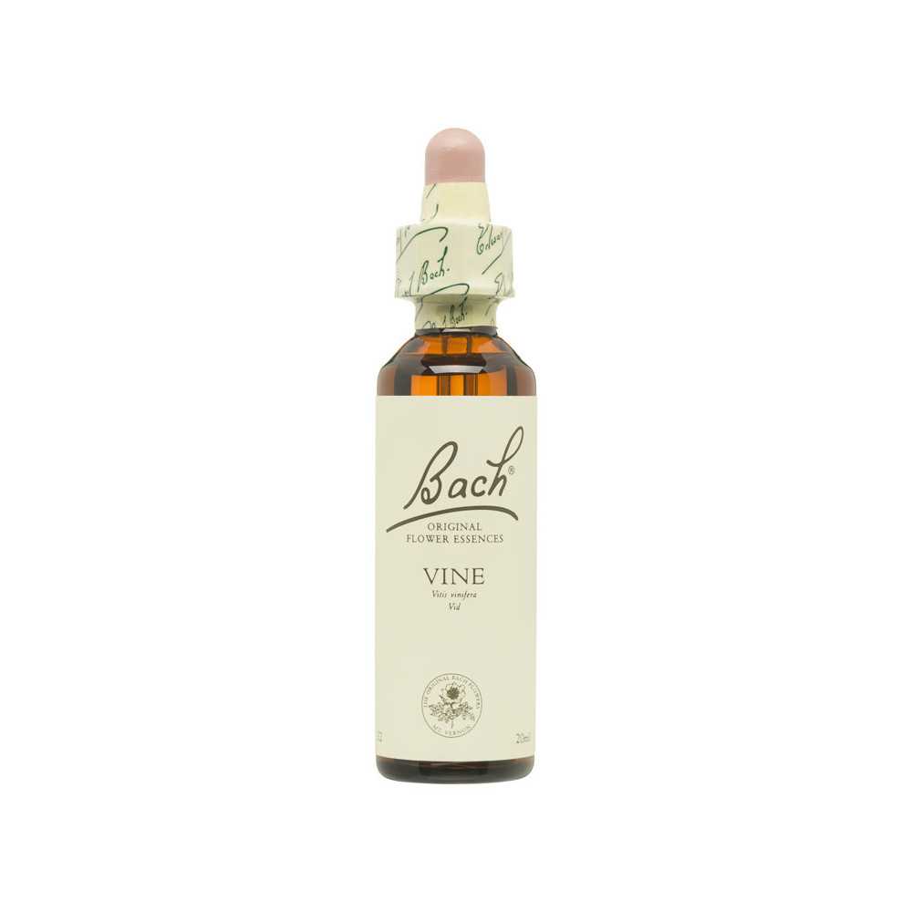 Flores de Bach Vid (Vine) 20 ml. N.32 Flores de Bach Vid (Vine) 20 ml. N.32