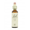 Flores de Bach Vid (Vine) 20 ml. N.32