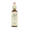 Flores de Bach Nogal (Walnut) 20 ml. N.33