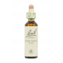 Flores de Bach Violeta de Agua (Water Violet) 20 ml. N.34