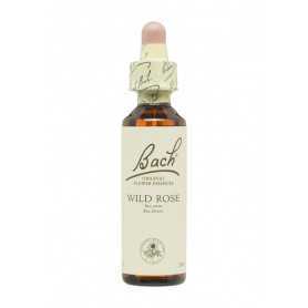 Flores de Bach Rosa Silvestre (Wild Rose) 20 ml. N.37