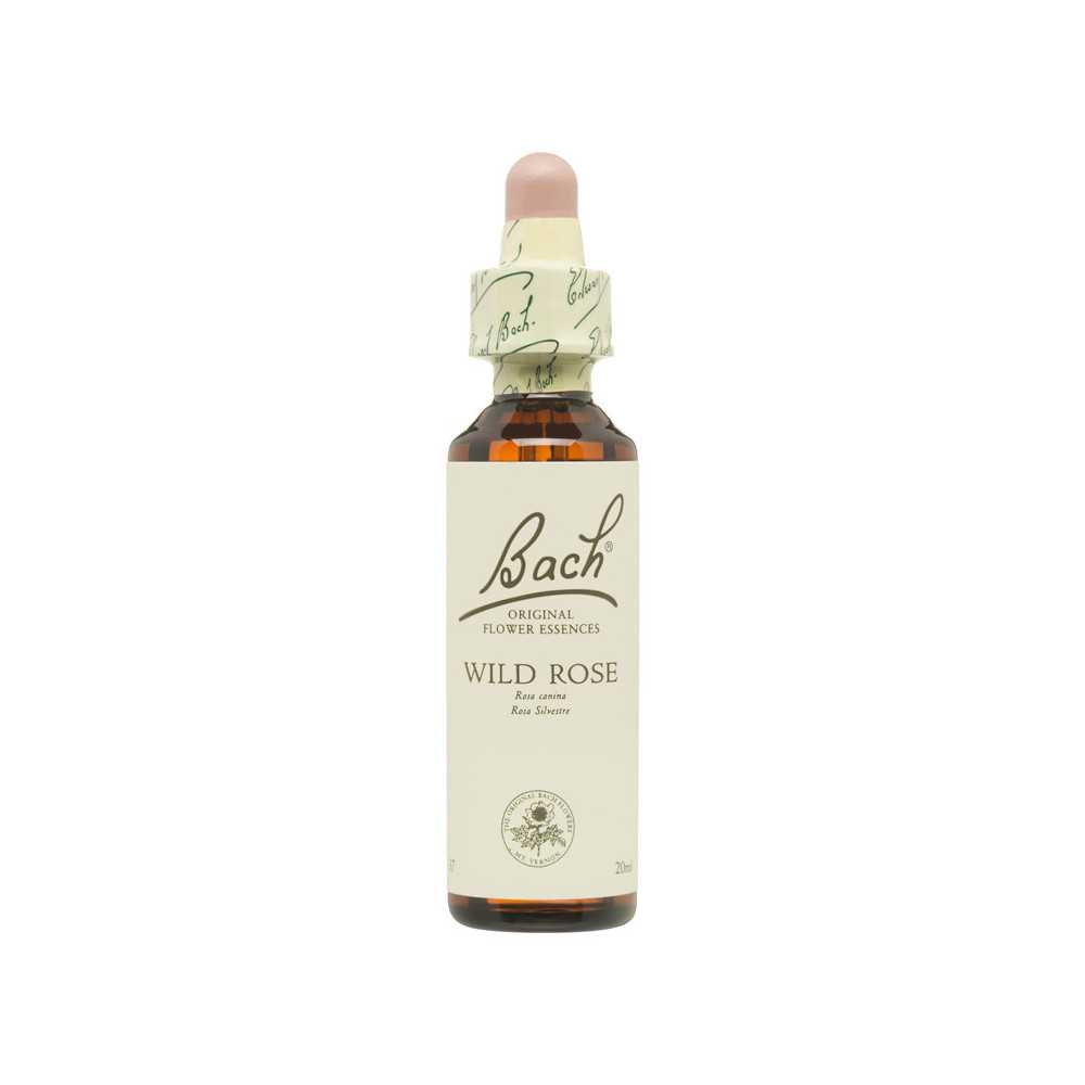 Flores de Bach Rosa Silvestre (Wild Rose) 20 ml. N.37 Flores de Bach Rosa Silvestre (Wild Rose) 20 ml. N.37