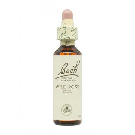 Flores de Bach Rosa Silvestre (Wild Rose) 20 ml. N.37