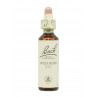 Flores de Bach Rosa Silvestre (Wild Rose) 20 ml. N.37