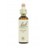 Flores de Bach Sauce (Willow) 20 ml. N.38