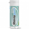 Steviagum Fresh - chicles Menta Fuerte