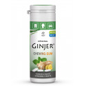 Chicles Ginjer Menta 30 g