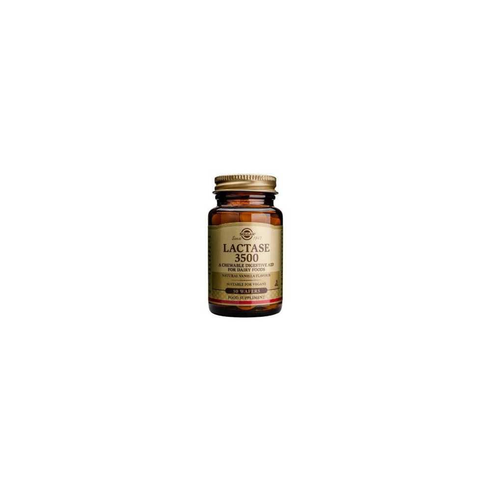 Solgar Lactasa 3500 30comp Masticables Solgar Lactasa 3500 30comp Masticables