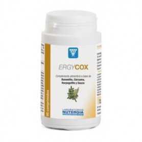 Nutergia Ergycox 90 comprimidos