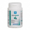 Nutergia Ergybase 60 cápsulas