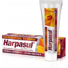 Harpasul Crema (Harpagofito) 75 + 25 ml. Natysal