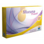 Mucuna Proactif 360 mg. 60 capsulas. Fenioux
