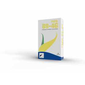 Fepa - B9-4G (Acido Fólico o Vitamina B9) 1000µg  40 cápsulas. Fepadiet