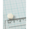 Aloe Vera 10.000mg